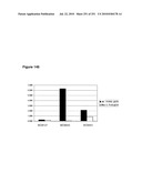 INCREASED ISOPRENE PRODUCTION USING MEVALONATE KINASE AND ISOPRENE SYNTHASE diagram and image