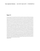 INCREASED ISOPRENE PRODUCTION USING MEVALONATE KINASE AND ISOPRENE SYNTHASE diagram and image