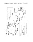 INCREASED ISOPRENE PRODUCTION USING MEVALONATE KINASE AND ISOPRENE SYNTHASE diagram and image