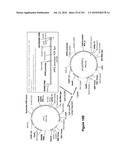 INCREASED ISOPRENE PRODUCTION USING MEVALONATE KINASE AND ISOPRENE SYNTHASE diagram and image