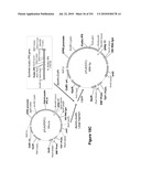 INCREASED ISOPRENE PRODUCTION USING MEVALONATE KINASE AND ISOPRENE SYNTHASE diagram and image