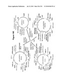 INCREASED ISOPRENE PRODUCTION USING MEVALONATE KINASE AND ISOPRENE SYNTHASE diagram and image