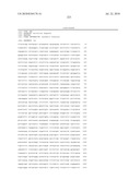 INCREASED ISOPRENE PRODUCTION USING MEVALONATE KINASE AND ISOPRENE SYNTHASE diagram and image