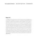 INCREASED ISOPRENE PRODUCTION USING MEVALONATE KINASE AND ISOPRENE SYNTHASE diagram and image