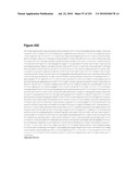 INCREASED ISOPRENE PRODUCTION USING MEVALONATE KINASE AND ISOPRENE SYNTHASE diagram and image