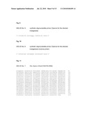 PROTEIN FOR THE CHEMOENZYMATIC PRODUCTION OF L-THREO-HYDROXYASPARTATE diagram and image