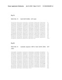 PROTEIN FOR THE CHEMOENZYMATIC PRODUCTION OF L-THREO-HYDROXYASPARTATE diagram and image