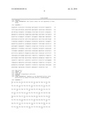 PROTEIN FOR THE CHEMOENZYMATIC PRODUCTION OF L-THREO-HYDROXYASPARTATE diagram and image