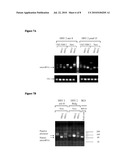 NUCLEIC ACIDS INVOLVED IN VIRAL INFECTION diagram and image