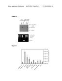 NUCLEIC ACIDS INVOLVED IN VIRAL INFECTION diagram and image