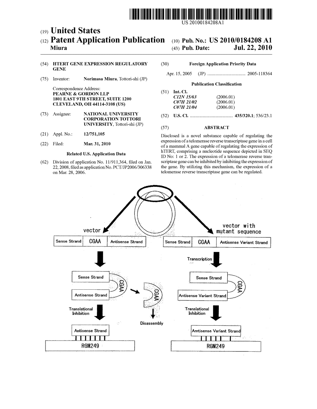 hTERT GENE EXPRESSION REGULATORY GENE - diagram, schematic, and image 01