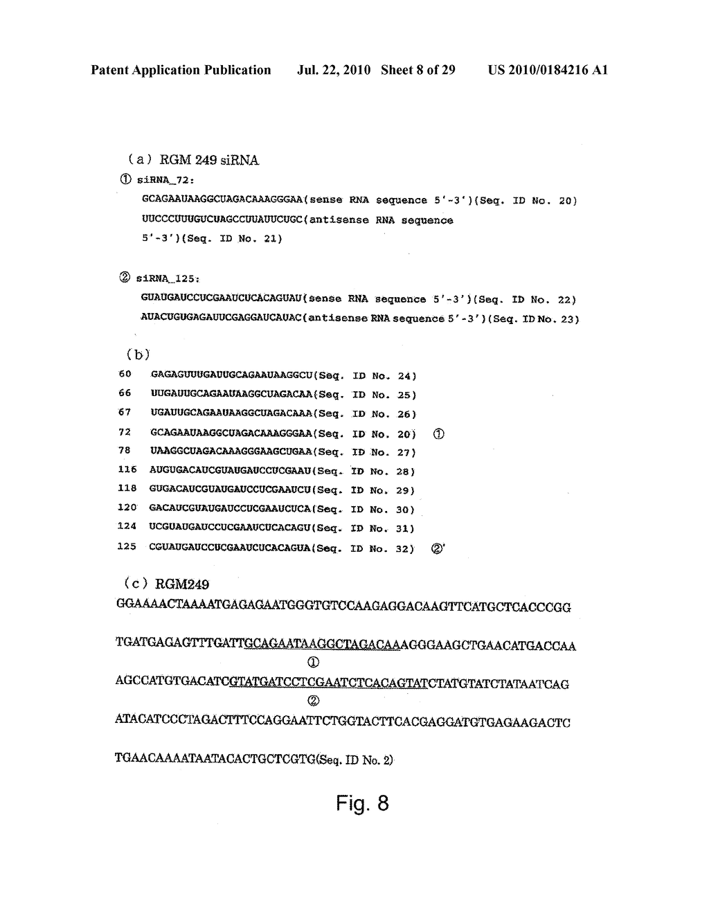 hTERT GENE EXPRESSION REGULATORY GENE - diagram, schematic, and image 09