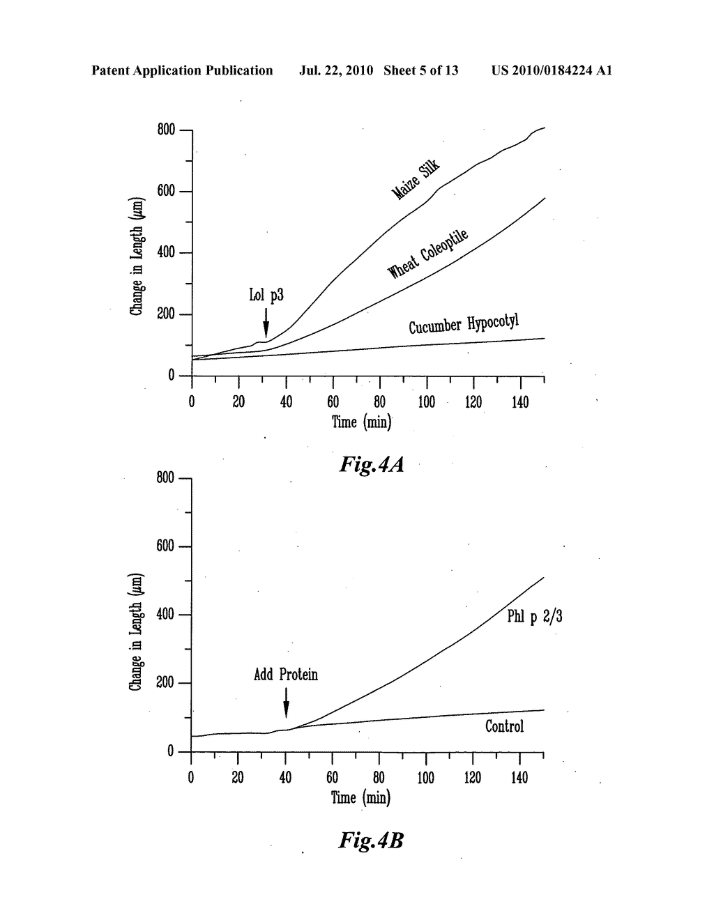 PLANT CELL WALL LOOSENING ACTIVITY OF GROUP 2/3 ALLERGENS OF GRASS POLLEN - diagram, schematic, and image 06