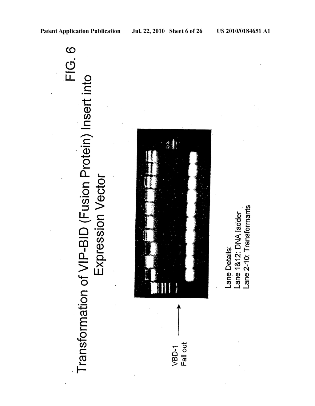 TARGETED FUSION PROTEINS FOR CANCER THERAPY - diagram, schematic, and image 07