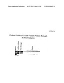 TARGETED FUSION PROTEINS FOR CANCER THERAPY diagram and image