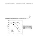 TARGETED FUSION PROTEINS FOR CANCER THERAPY diagram and image