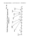 TARGETED FUSION PROTEINS FOR CANCER THERAPY diagram and image