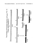 TARGETED FUSION PROTEINS FOR CANCER THERAPY diagram and image