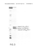 MODIFIED PLASMINOGEN ACTIVATOR INHIBITOR TYPE-1 MOLECULE AND METHODS BASED THEREON diagram and image