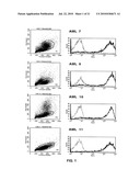 Binding molecules for the treatment of myeloid cell malignancies diagram and image