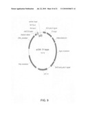 Binding molecules for the treatment of myeloid cell malignancies diagram and image