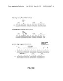 Binding molecules for the treatment of myeloid cell malignancies diagram and image