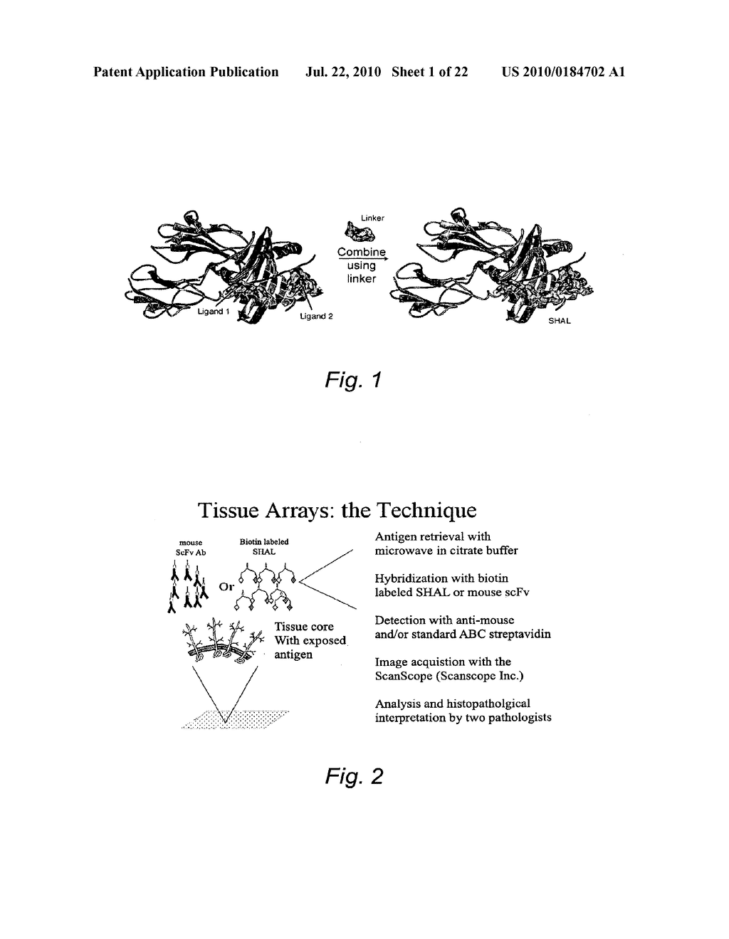 Selective High-Affinity Polydentate Ligands and Methods of Making Such - diagram, schematic, and image 02