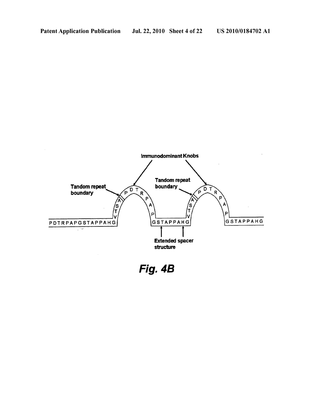 Selective High-Affinity Polydentate Ligands and Methods of Making Such - diagram, schematic, and image 05