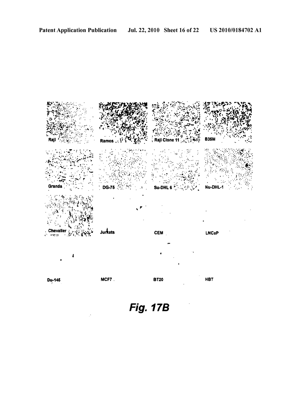 Selective High-Affinity Polydentate Ligands and Methods of Making Such - diagram, schematic, and image 17