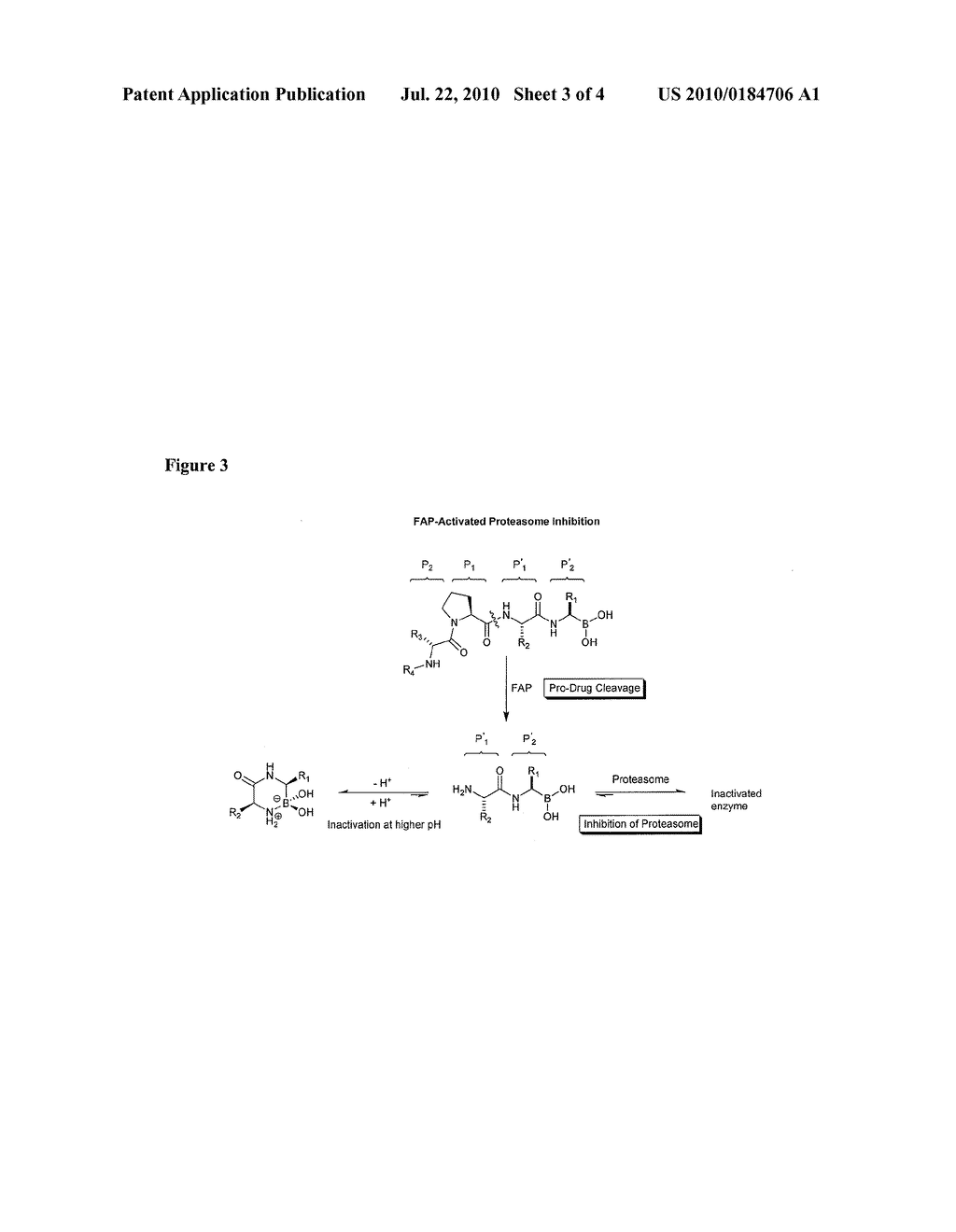 FAP-ACTIVATED CHEMOTHERAPEUTIC COMPOUNDS, AND METHODS OF USE THEREOF - diagram, schematic, and image 04