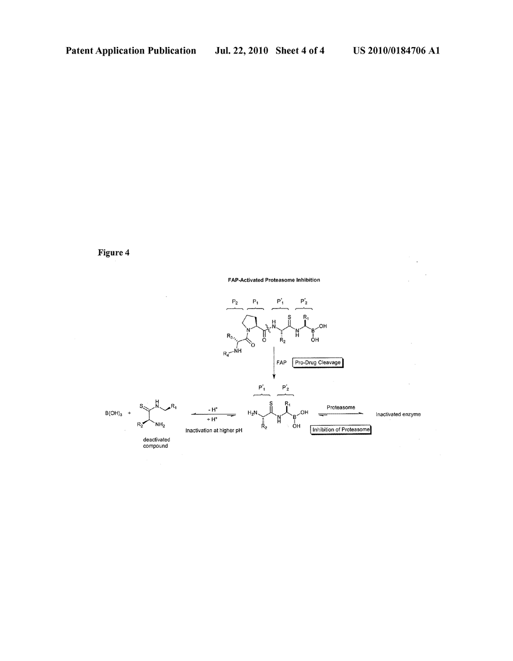 FAP-ACTIVATED CHEMOTHERAPEUTIC COMPOUNDS, AND METHODS OF USE THEREOF - diagram, schematic, and image 05