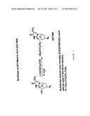 Compositions and Methods for Double-Targeting Virus Infections and Targeting Cancer Cells diagram and image