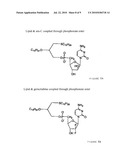 Compositions and Methods for Double-Targeting Virus Infections and Targeting Cancer Cells diagram and image