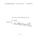 Compositions and Methods for Double-Targeting Virus Infections and Targeting Cancer Cells diagram and image