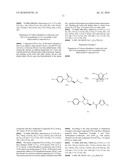 FXA INHIBITORS WITH CYCLIC AMIDINES AS P4 SUBUNIT, PROCESSES FOR THEIR PREPARATIONS, AND PHARMACEUTICAL COMPOSITIONS AND DERIVATIVES THEREOF diagram and image