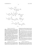 FXA INHIBITORS WITH CYCLIC AMIDINES AS P4 SUBUNIT, PROCESSES FOR THEIR PREPARATIONS, AND PHARMACEUTICAL COMPOSITIONS AND DERIVATIVES THEREOF diagram and image