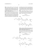 FXA INHIBITORS WITH CYCLIC AMIDINES AS P4 SUBUNIT, PROCESSES FOR THEIR PREPARATIONS, AND PHARMACEUTICAL COMPOSITIONS AND DERIVATIVES THEREOF diagram and image