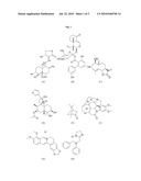 AGONISTS OF BITTER TASTE RECEPTORS AND USES THEREOF diagram and image