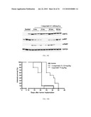 FUSED AMINO PYRIDINES FOR THE TREATMENT OF BRAIN TUMORS diagram and image