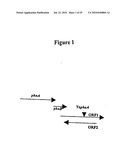 METHODS FOR THE PREVENTION OR TREATMENT OF BACTERIAL AND FUNGAL INFECTIONS diagram and image