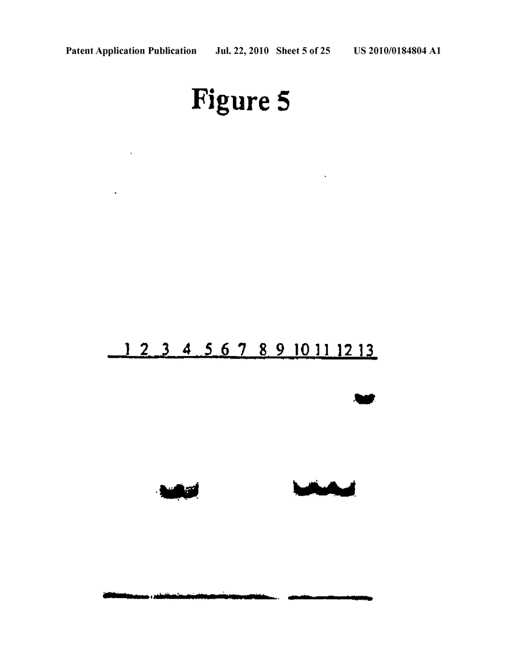 METHODS FOR THE PREVENTION OR TREATMENT OF BACTERIAL AND FUNGAL INFECTIONS - diagram, schematic, and image 06