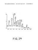 METHODS FOR THE PREVENTION OR TREATMENT OF BACTERIAL AND FUNGAL INFECTIONS diagram and image