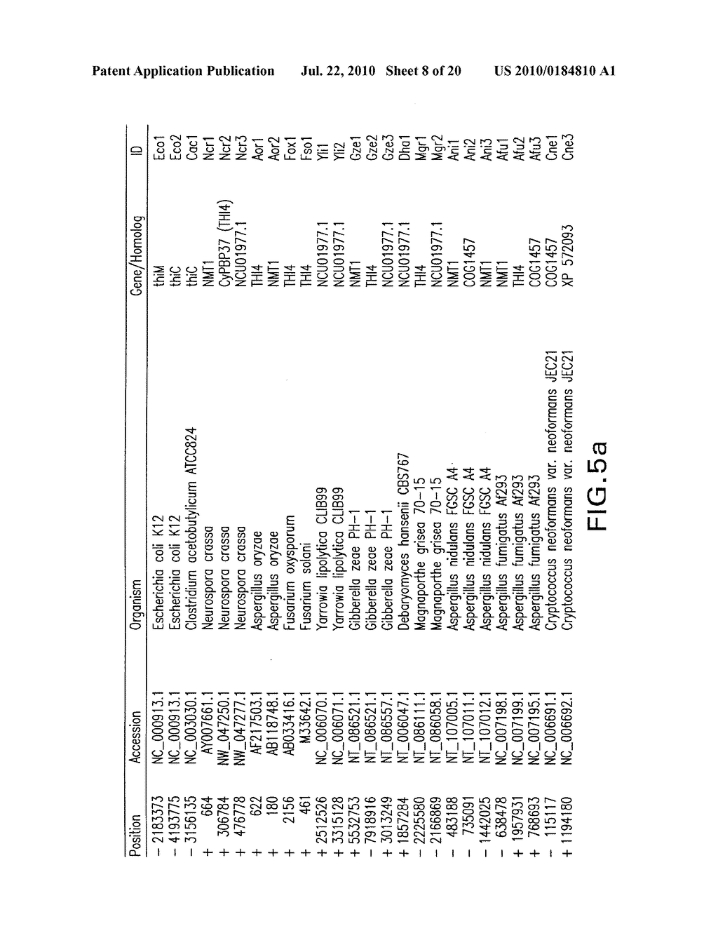 METHODS AND COMPOSITIONS RELATED TO RIBOSWITCHES THAT CONTROL ALTERNATIVE SPLICING - diagram, schematic, and image 09