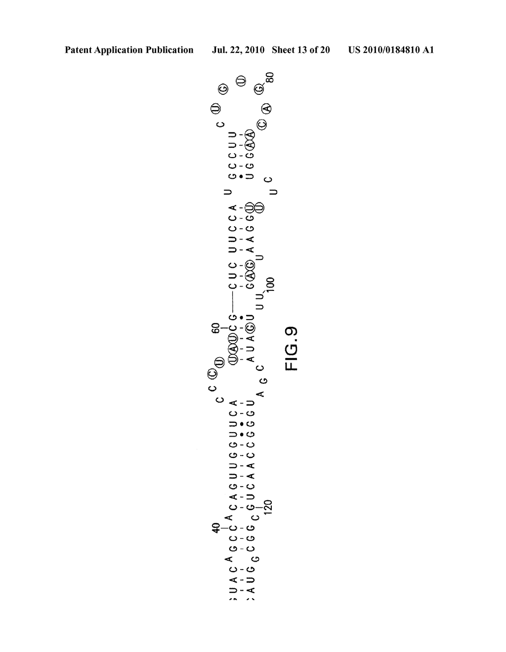 METHODS AND COMPOSITIONS RELATED TO RIBOSWITCHES THAT CONTROL ALTERNATIVE SPLICING - diagram, schematic, and image 14
