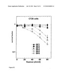 PHOTOSENSITIZERS FOR TARGETED PHOTODYNAMIC THERAPY diagram and image