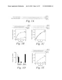 METHODS AND COMPOSITIONS FOR ENHANCING THE EFFICACY AND SPECIFICITY OF RNA SILENCING diagram and image