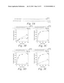 METHODS AND COMPOSITIONS FOR ENHANCING THE EFFICACY AND SPECIFICITY OF RNA SILENCING diagram and image