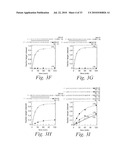 METHODS AND COMPOSITIONS FOR ENHANCING THE EFFICACY AND SPECIFICITY OF RNA SILENCING diagram and image