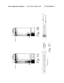 METHODS AND COMPOSITIONS FOR ENHANCING THE EFFICACY AND SPECIFICITY OF RNA SILENCING diagram and image