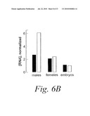 METHODS AND COMPOSITIONS FOR ENHANCING THE EFFICACY AND SPECIFICITY OF RNA SILENCING diagram and image